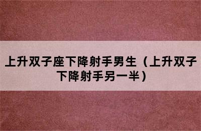 上升双子座下降射手男生（上升双子下降射手另一半）