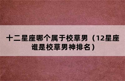 十二星座哪个属于校草男（12星座谁是校草男神排名）