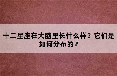 十二星座在大脑里长什么样？它们是如何分布的？