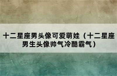 十二星座男头像可爱萌娃（十二星座男生头像帅气冷酷霸气）