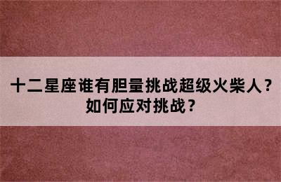 十二星座谁有胆量挑战超级火柴人？如何应对挑战？