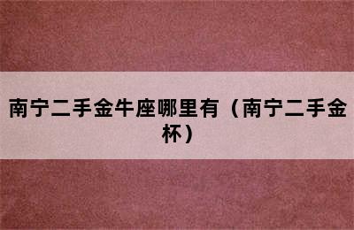 南宁二手金牛座哪里有（南宁二手金杯）