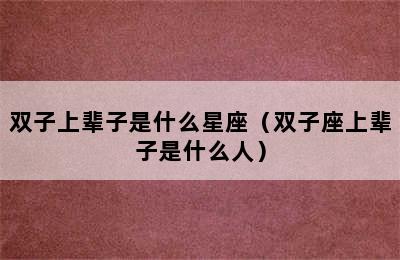 双子上辈子是什么星座（双子座上辈子是什么人）