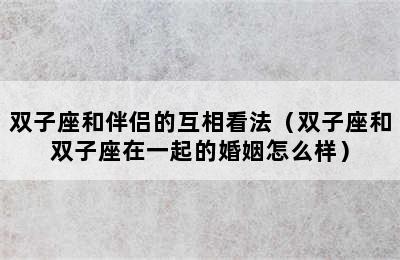 双子座和伴侣的互相看法（双子座和双子座在一起的婚姻怎么样）