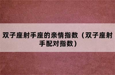 双子座射手座的亲情指数（双子座射手配对指数）