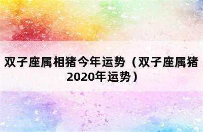 双子座属相猪今年运势（双子座属猪2020年运势）