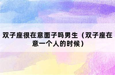 双子座很在意面子吗男生（双子座在意一个人的时候）