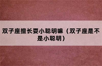 双子座擅长耍小聪明嘛（双子座是不是小聪明）