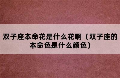 双子座本命花是什么花啊（双子座的本命色是什么颜色）