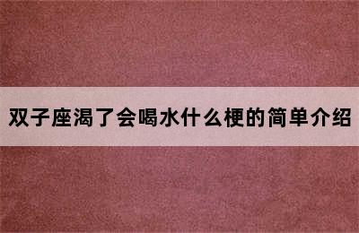 双子座渴了会喝水什么梗的简单介绍