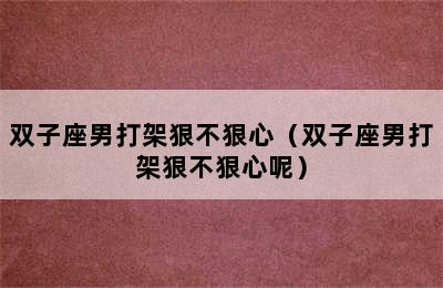 双子座男打架狠不狠心（双子座男打架狠不狠心呢）