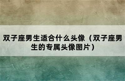 双子座男生适合什么头像（双子座男生的专属头像图片）