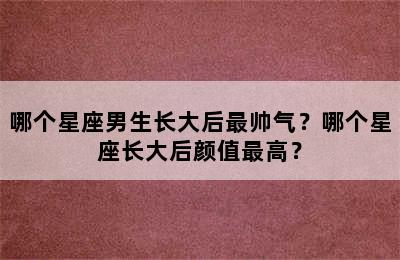 哪个星座男生长大后最帅气？哪个星座长大后颜值最高？