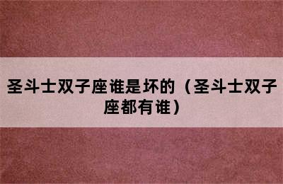 圣斗士双子座谁是坏的（圣斗士双子座都有谁）