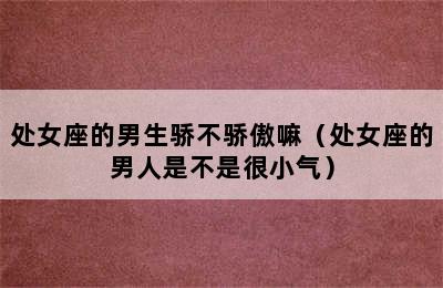 处女座的男生骄不骄傲嘛（处女座的男人是不是很小气）