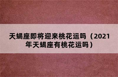 天蝎座即将迎来桃花运吗（2021年天蝎座有桃花运吗）