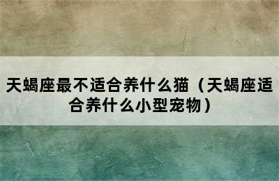 天蝎座最不适合养什么猫（天蝎座适合养什么小型宠物）