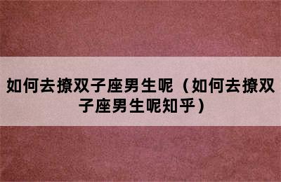 如何去撩双子座男生呢（如何去撩双子座男生呢知乎）