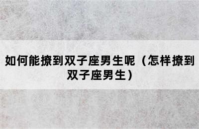 如何能撩到双子座男生呢（怎样撩到双子座男生）