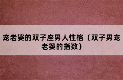 宠老婆的双子座男人性格（双子男宠老婆的指数）