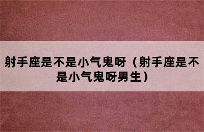 射手座是不是小气鬼呀（射手座是不是小气鬼呀男生）