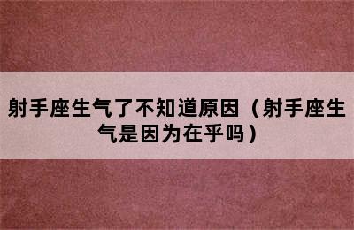 射手座生气了不知道原因（射手座生气是因为在乎吗）