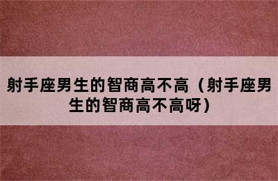 射手座男生的智商高不高（射手座男生的智商高不高呀）