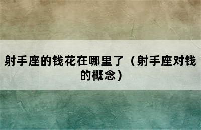 射手座的钱花在哪里了（射手座对钱的概念）