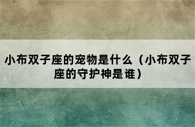 小布双子座的宠物是什么（小布双子座的守护神是谁）