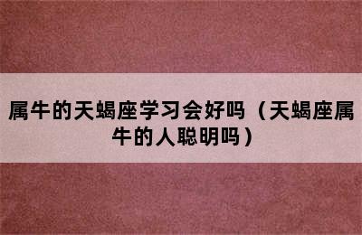 属牛的天蝎座学习会好吗（天蝎座属牛的人聪明吗）