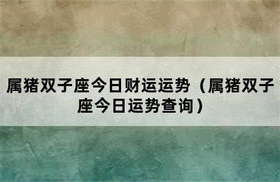 属猪双子座今日财运运势（属猪双子座今日运势查询）