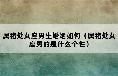 属猪处女座男生婚姻如何（属猪处女座男的是什么个性）