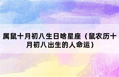 属鼠十月初八生日啥星座（鼠农历十月初八出生的人命运）