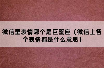 微信里表情哪个是巨蟹座（微信上各个表情都是什么意思）