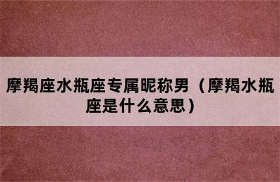 摩羯座水瓶座专属昵称男（摩羯水瓶座是什么意思）