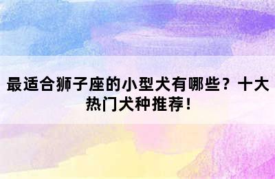 最适合狮子座的小型犬有哪些？十大热门犬种推荐！