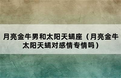 月亮金牛男和太阳天蝎座（月亮金牛太阳天蝎对感情专情吗）