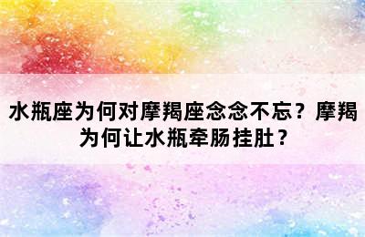 水瓶座为何对摩羯座念念不忘？摩羯为何让水瓶牵肠挂肚？