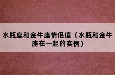 水瓶座和金牛座情侣值（水瓶和金牛座在一起的实例）