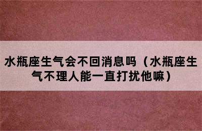 水瓶座生气会不回消息吗（水瓶座生气不理人能一直打扰他嘛）