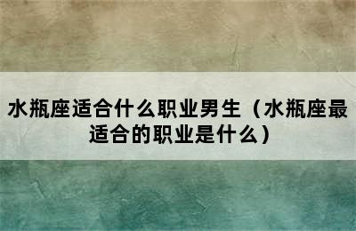 水瓶座适合什么职业男生（水瓶座最适合的职业是什么）