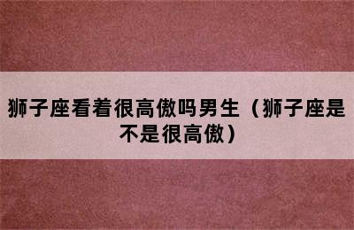 狮子座看着很高傲吗男生（狮子座是不是很高傲）