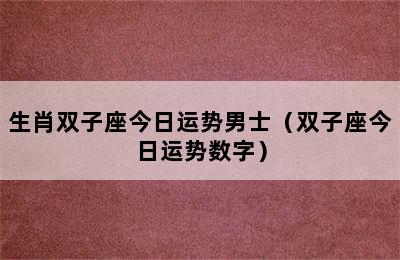 生肖双子座今日运势男士（双子座今日运势数字）