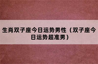 生肖双子座今日运势男性（双子座今日运势超准男）