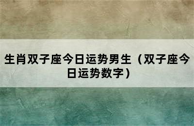 生肖双子座今日运势男生（双子座今日运势数字）