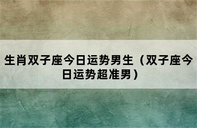 生肖双子座今日运势男生（双子座今日运势超准男）