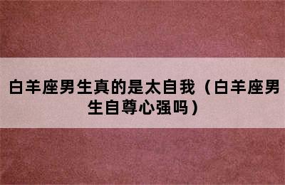 白羊座男生真的是太自我（白羊座男生自尊心强吗）