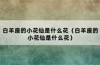 白羊座的小花仙是什么花（白羊座的小花仙是什么花）