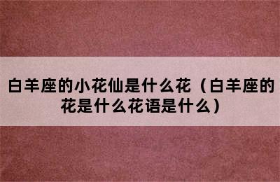 白羊座的小花仙是什么花（白羊座的花是什么花语是什么）