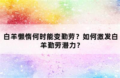 白羊懒惰何时能变勤劳？如何激发白羊勤劳潜力？